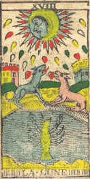 181